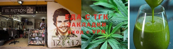 индика Богородицк