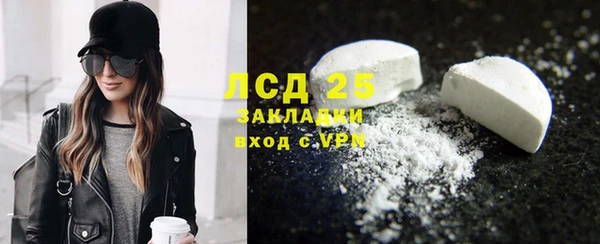 индика Богородицк