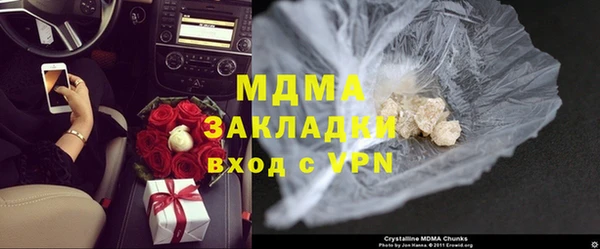 индика Богородицк