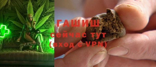 индика Богородицк