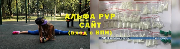 индика Богородицк
