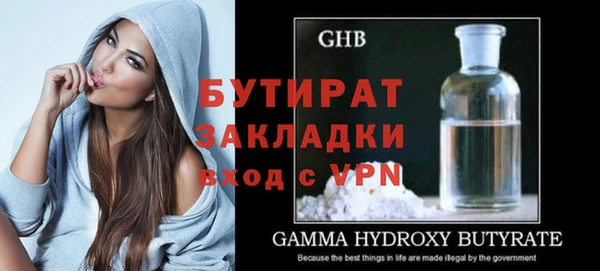 индика Богородицк