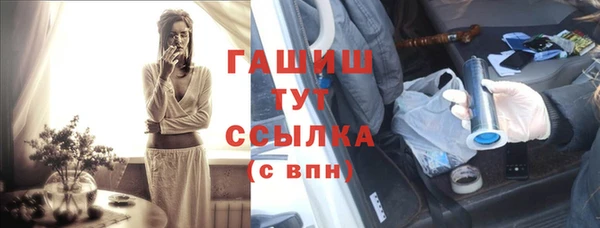 индика Богородицк