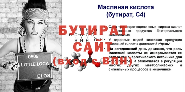 индика Богородицк