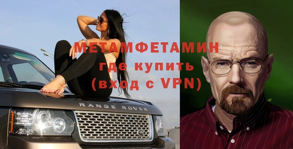 индика Богородицк