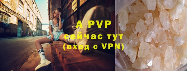 индика Богородицк