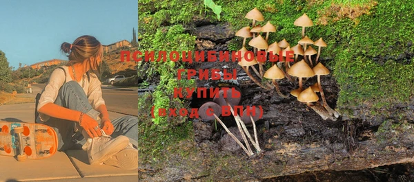 Альфа ПВП Богданович