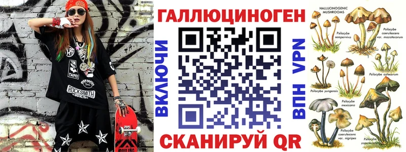 Галлюциногенные грибы Psilocybe  цены   Мончегорск 